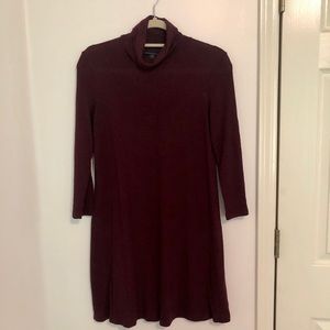 American Eagle Turtle Neck Sweater Dress